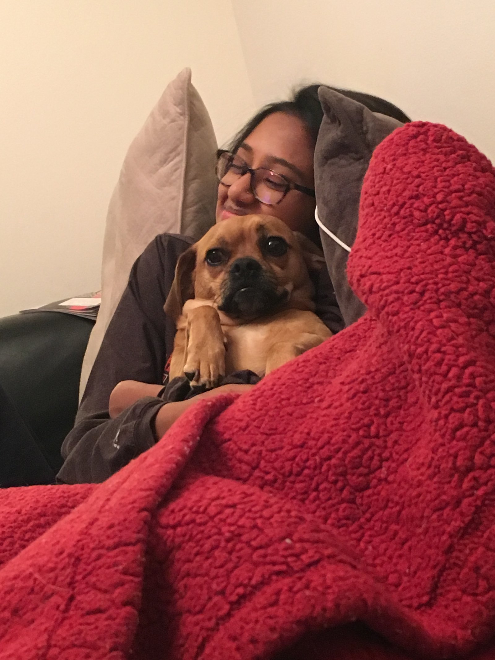 Cuddle with a puppy!
