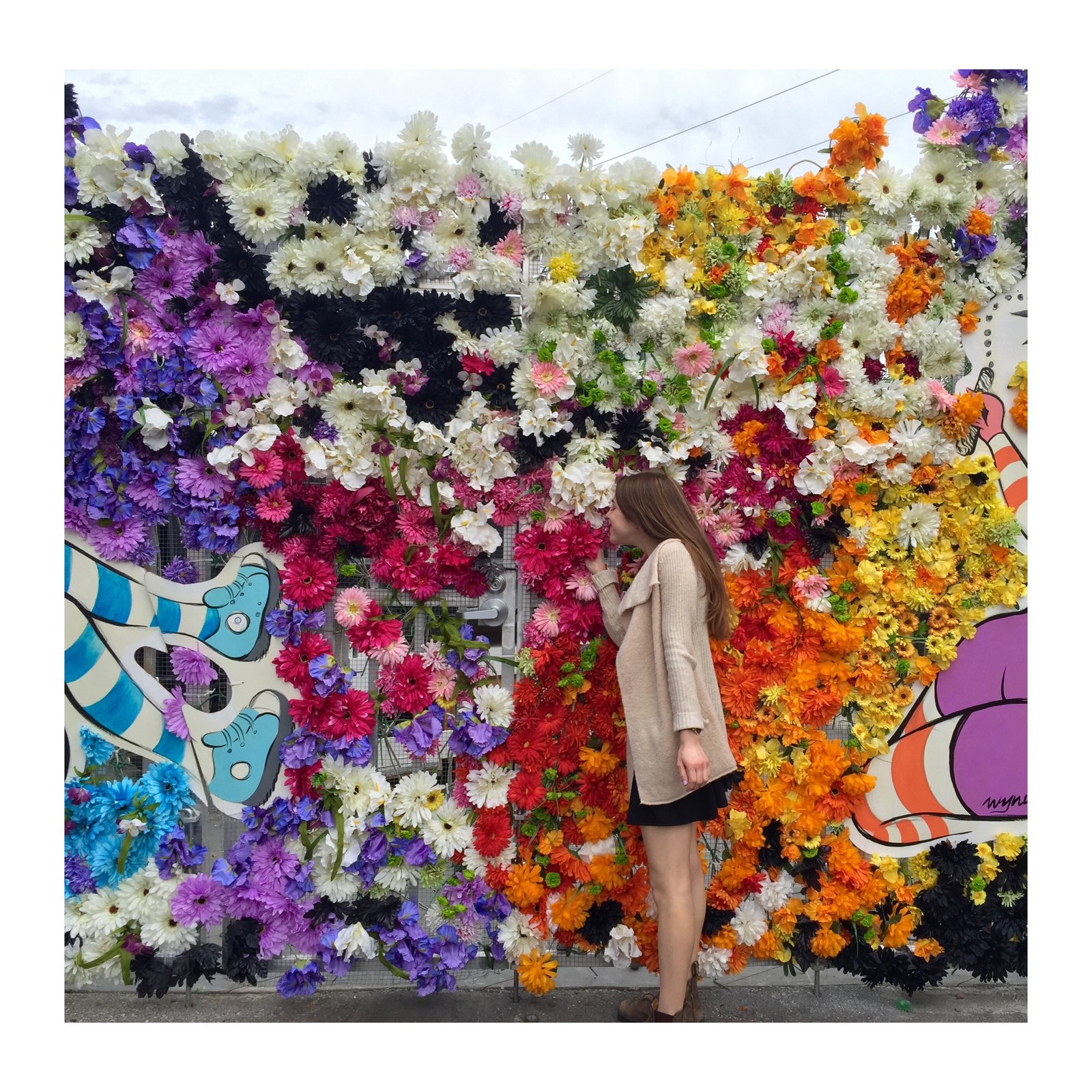 flower