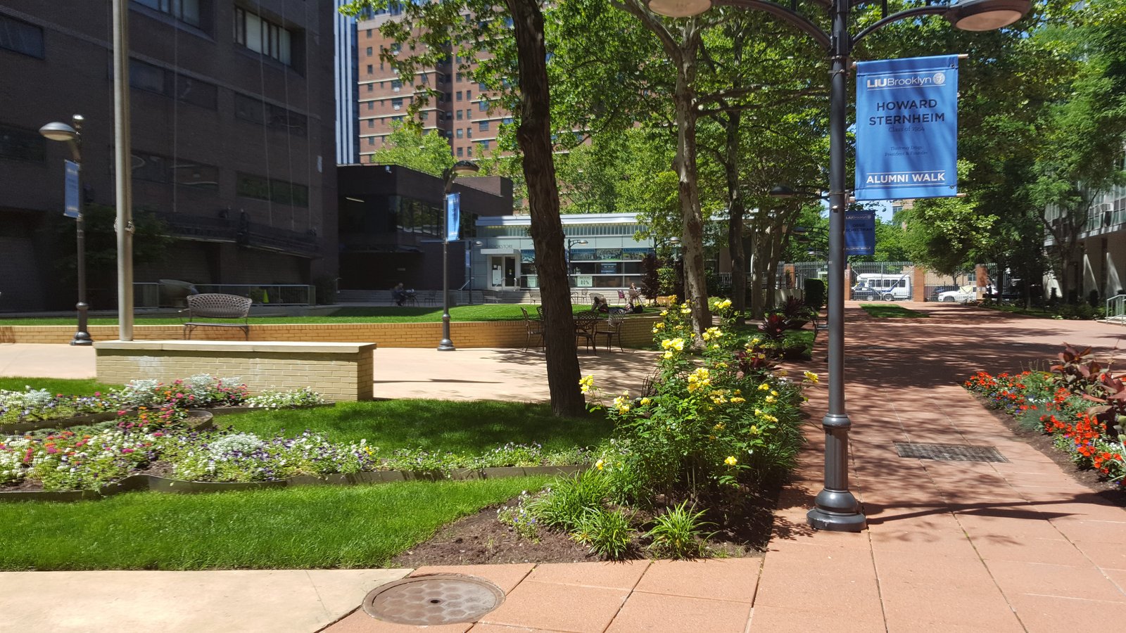 LIUBrooklynCampus3