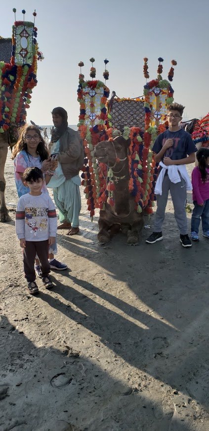 camel ride anyone!