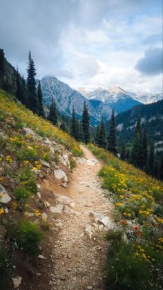 This may contain: a dirt path in the mountains with wildflowers and pine trees