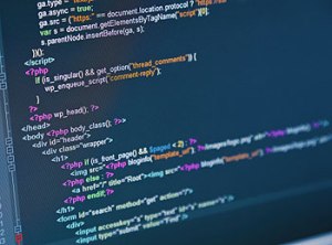 It's like putting a puzzle together line by line