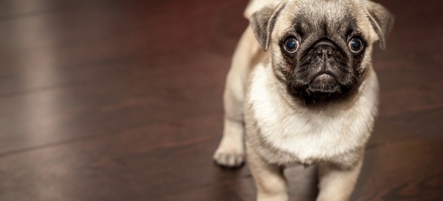 photo-1421747839823-baf55e319e87