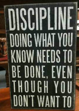 discipline