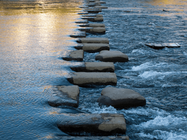 Screen Shot 2016-11-21 at 10.02.00 AM.png