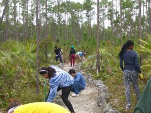 1507175_10153078230103293_6923620141912899329_n