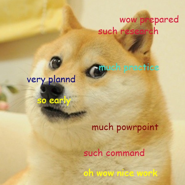 doge presentation