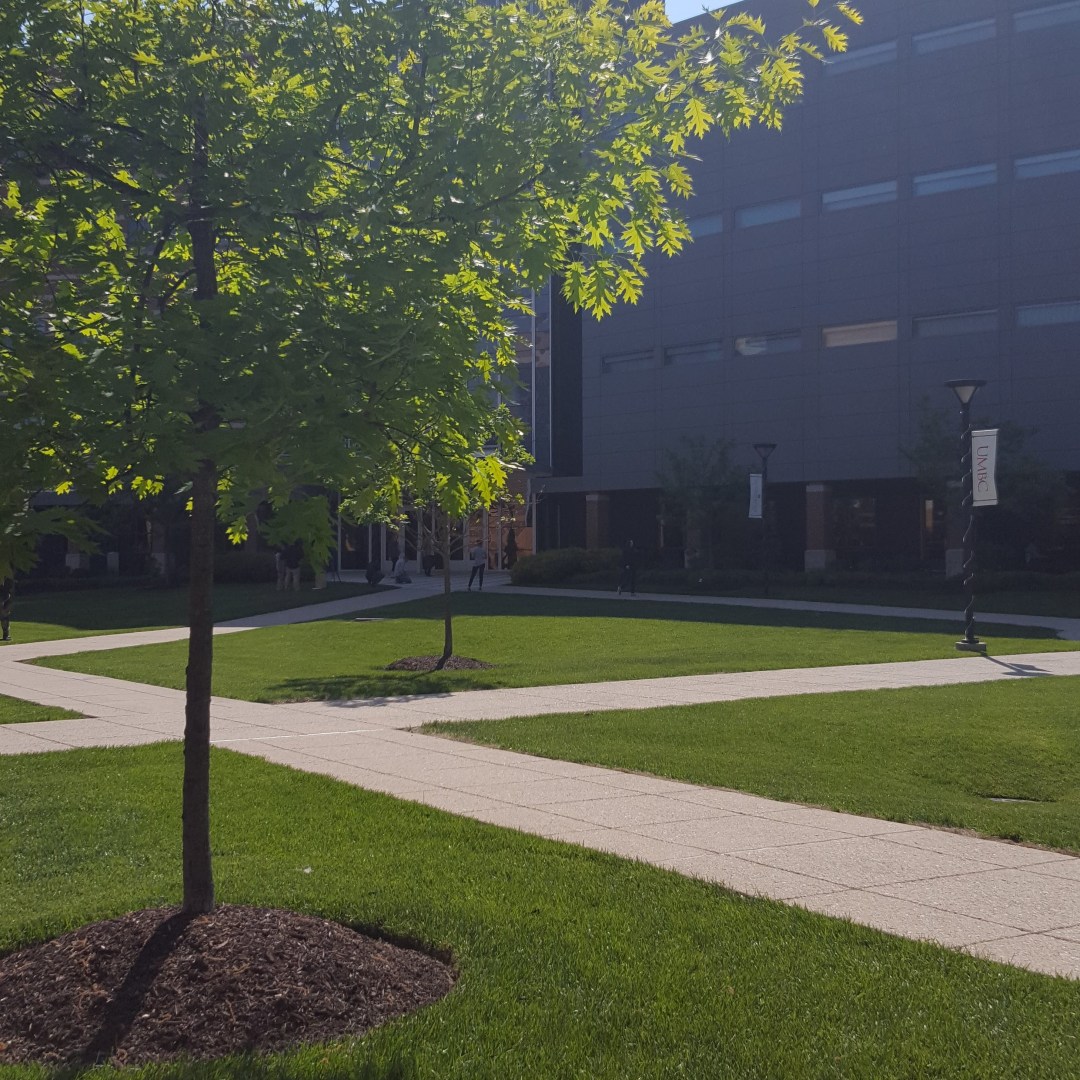 Photo by Jade Esmeralda