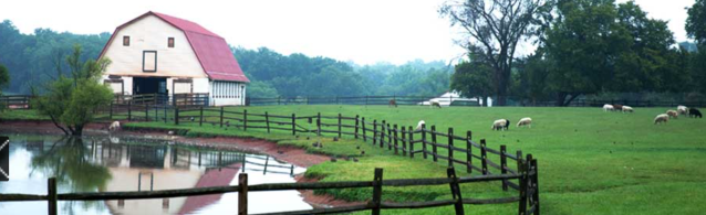 Screen Shot 2018-10-08 at 11.30.48 AM