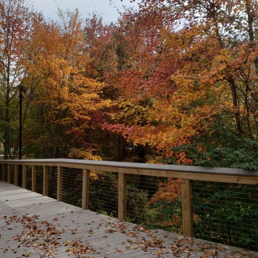 UniversitiesAtShadyGroveRockvilleMDFall18