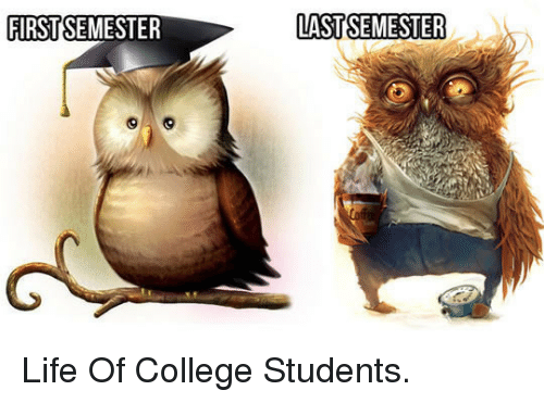 firstsemester-last-semester-_p_life-of-college-students-_-p_-33532911