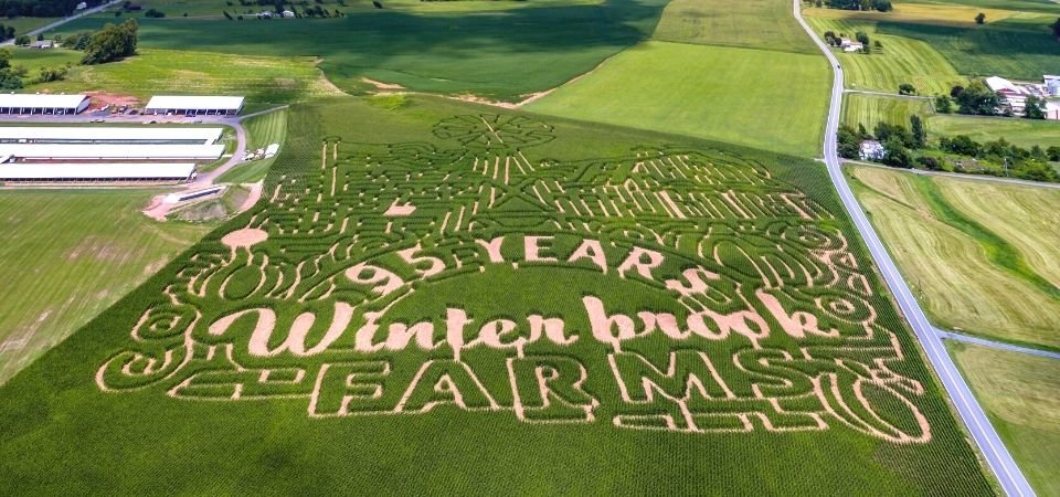 An aerial view of the 2017 Corn Maze